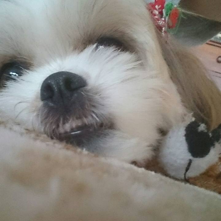 D45c718c dd19 4d70 9df3 7466e2008b69