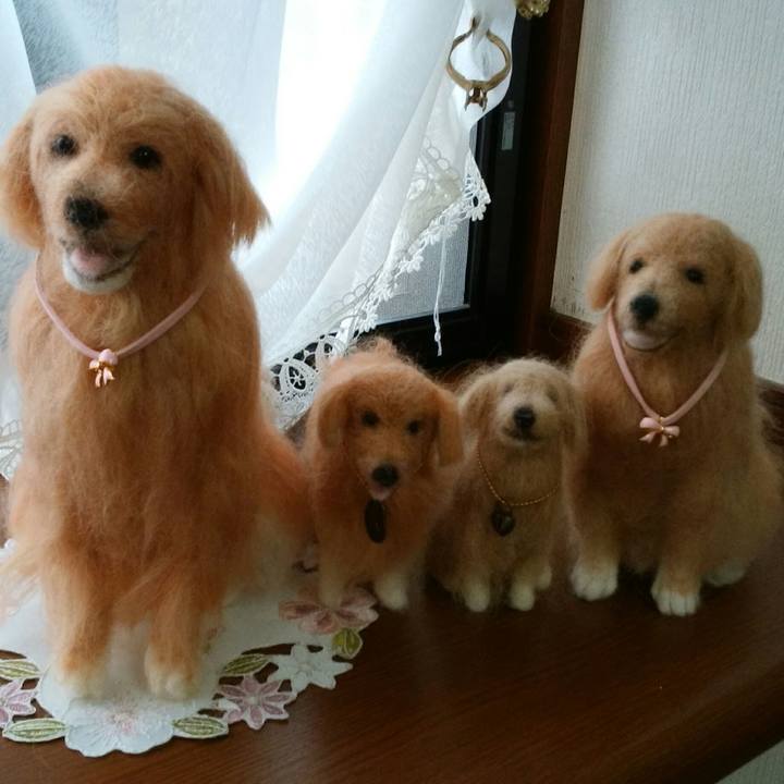 D45d0371 42f3 472c 888c 67ff5819baca