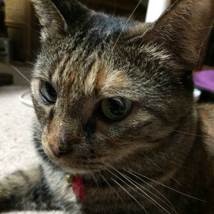 D45d40a6 b23f 420a 8de1 54c8fe0f3c07