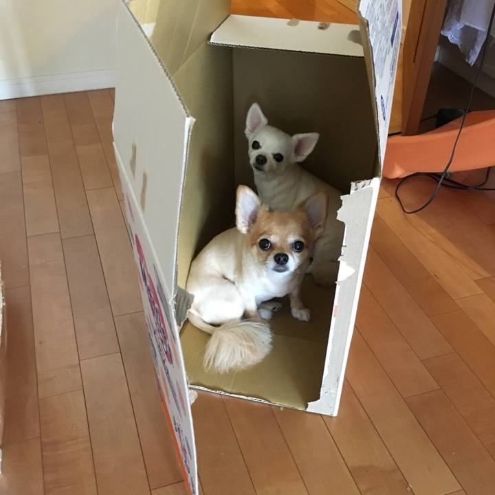 D45d8756 fa6d 4f5f bd16 0da370475559