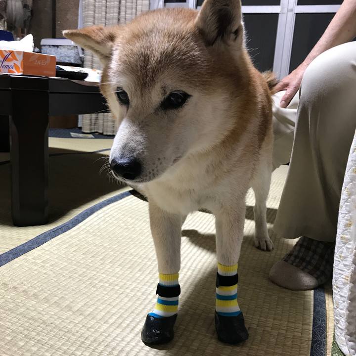 D45e2b67 2650 43c6 809a 40565d299bfb