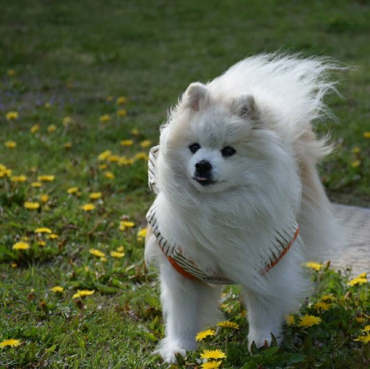 D45e9302 170d 4e5b b2ef 0a8feb861f1f