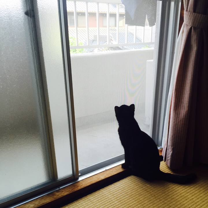 D45eb1eb 9970 4ddc 8c78 693f12d2164e