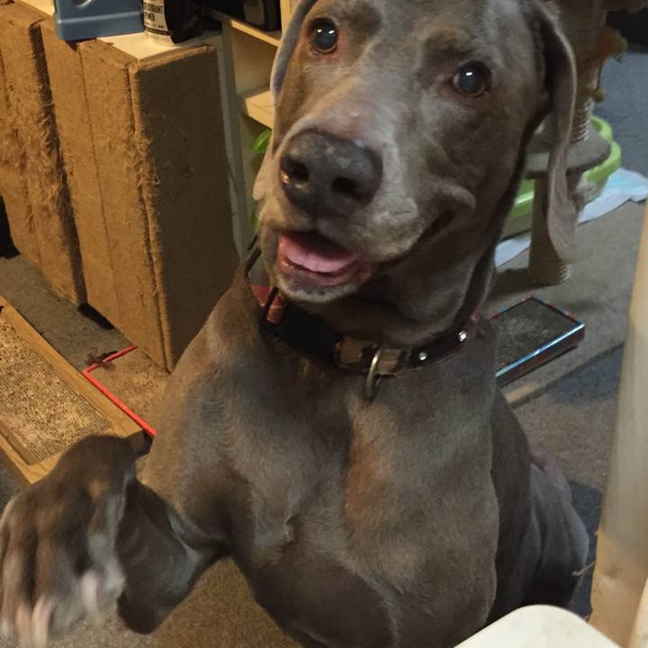 D45ef200 b832 4475 a0f2 ef4c769a07bb