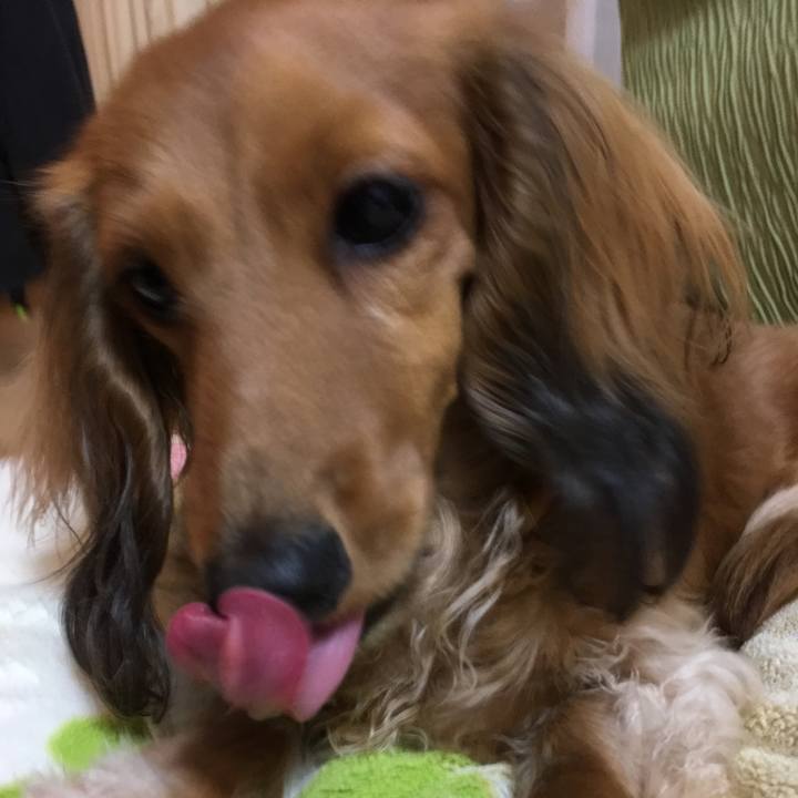 D45f1139 4d23 45e3 ba47 bd829d792640