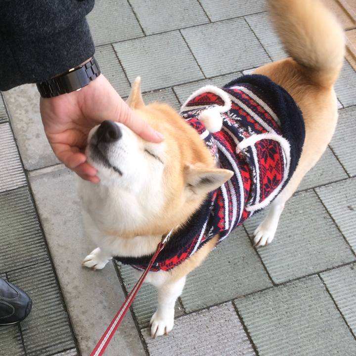 D45f788c 10b2 444a 8a4a a8f54d536e6e