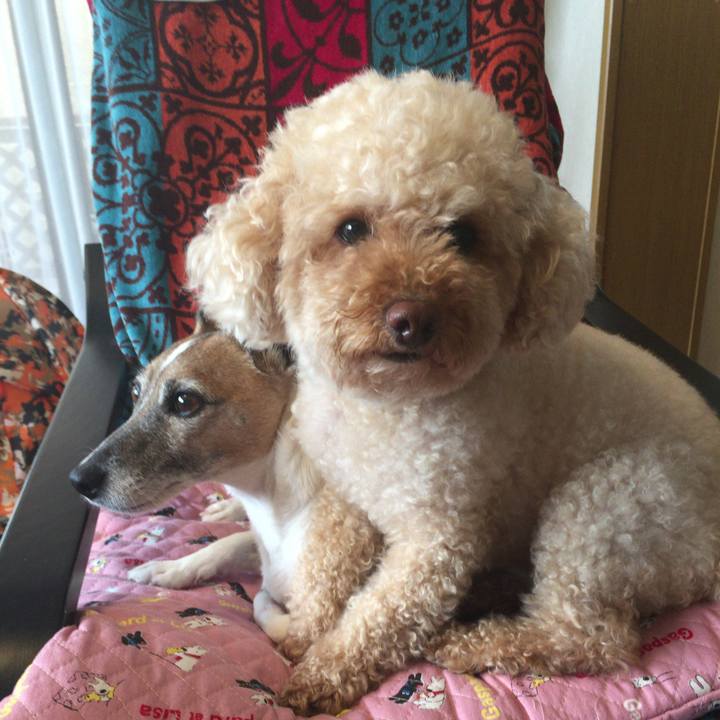 D45fecfe 02de 4d71 82c6 f10301a7e29f