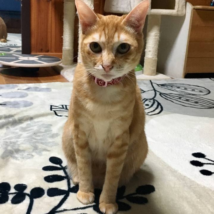 D45ff51b 0c2e 4677 8467 f47741801b58