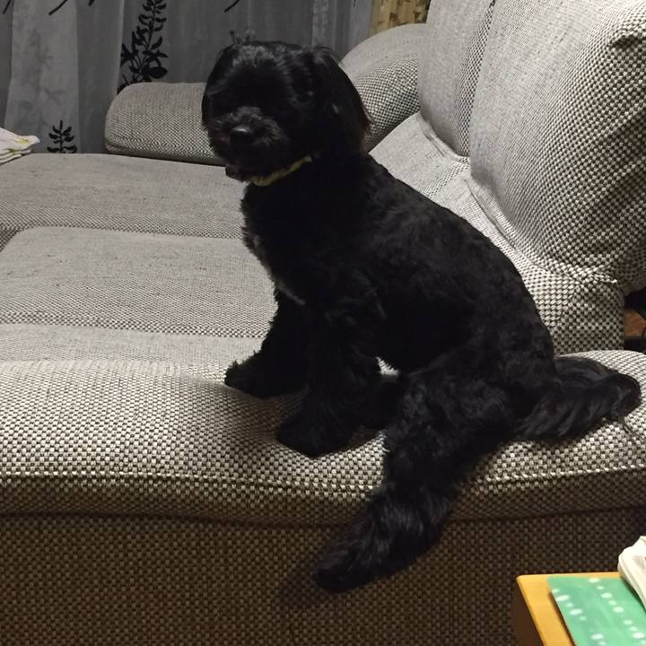 D46026db 98ed 41c6 b0ca fe80d419c120