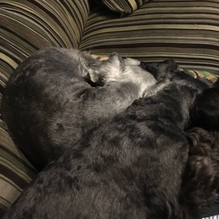 D4606928 57a2 42ca a858 2e4f8bd35ce0