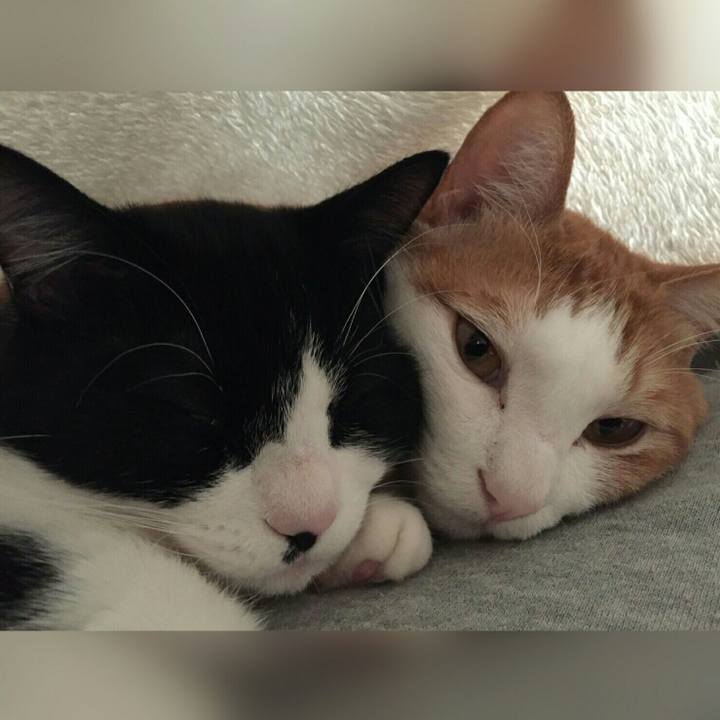 D46094d6 f925 4060 981c c9362f7bba74