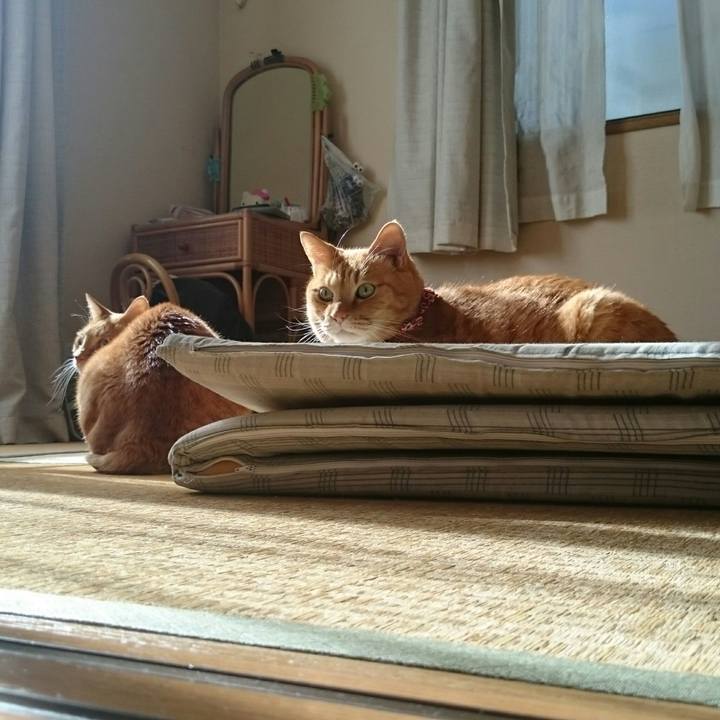 D4611045 f1ed 46da b667 97280a3829da