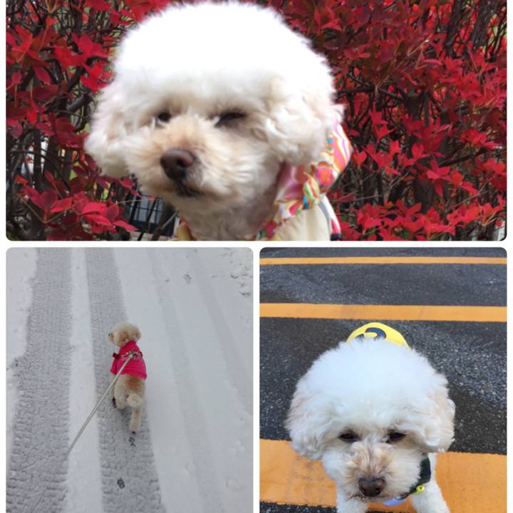 D4614c21 3b1b 4028 988b 4bdcc863dff5