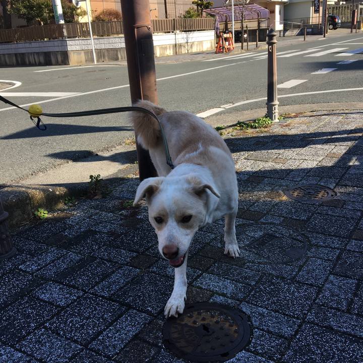 D46247d1 0c9f 4820 b00a 2486c8f9cad3