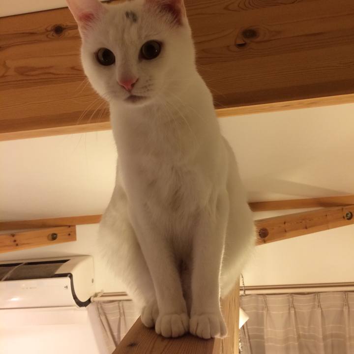 D462793b b78f 4438 8a4d abf2b3d90e9b