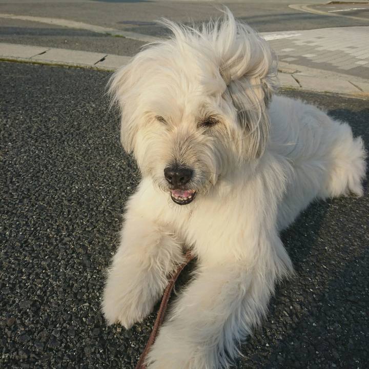 D462beff 7d34 4653 9a71 9aca32c7b804