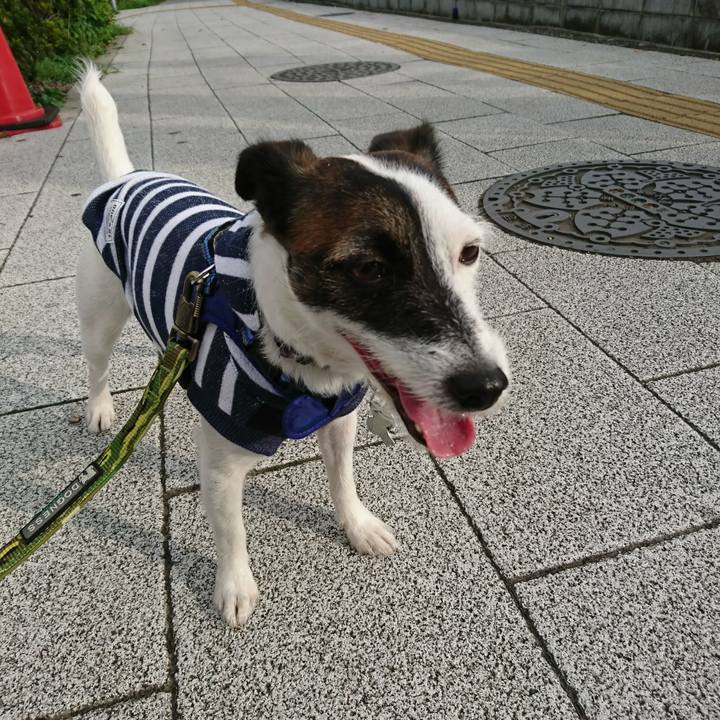 D4633953 4dab 4578 9c46 6142d383130d