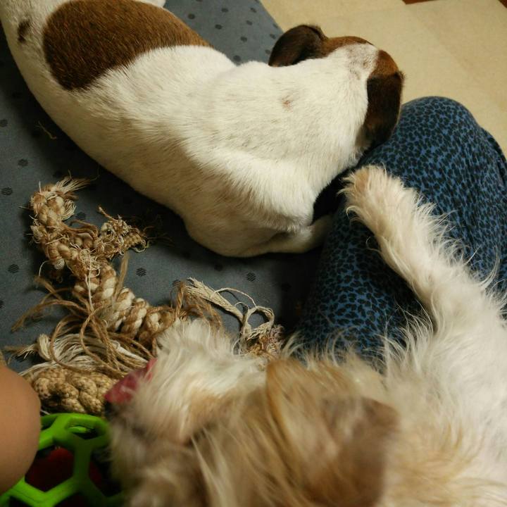 D4637c76 6f2b 4b54 889c 08442cbd1939