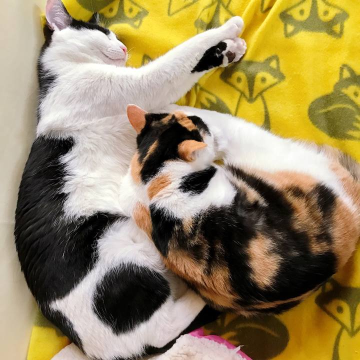 D464239c f824 488c af76 0c862254072c