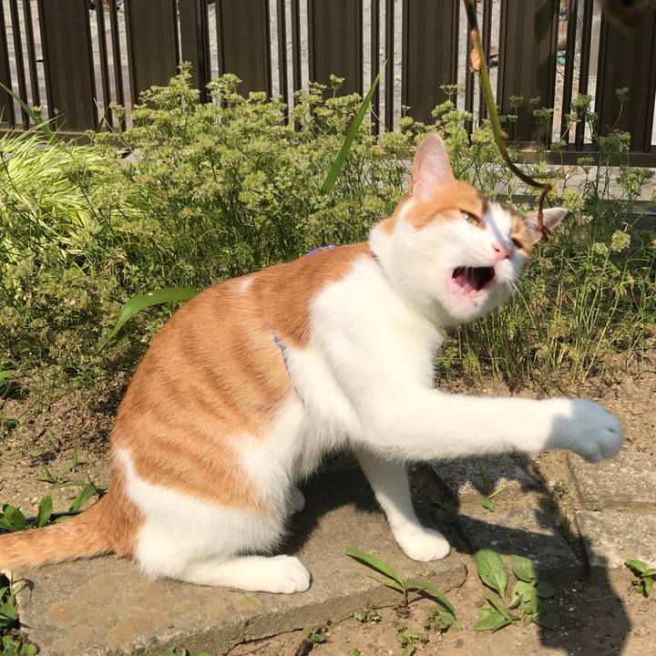 D4645f8f 3d84 4452 b360 15a7c9069e19