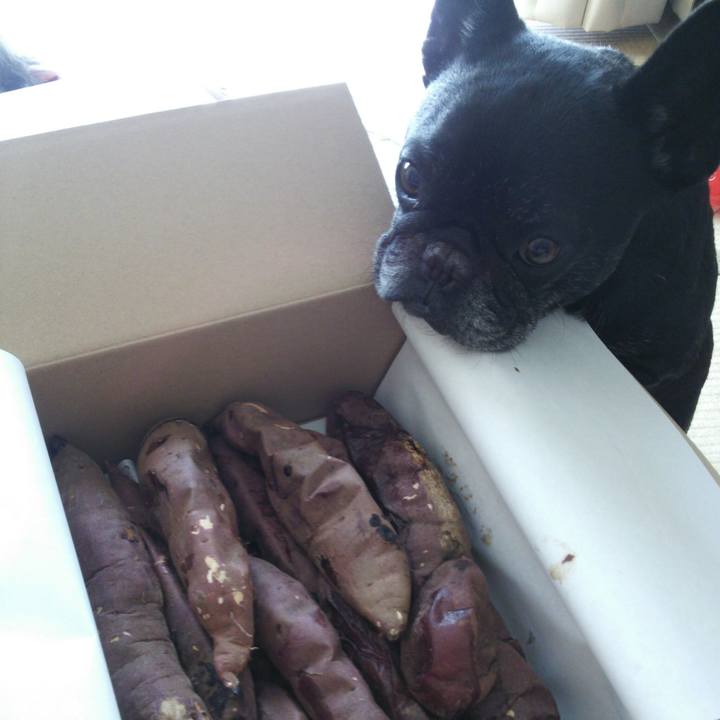 D46498a1 a7c6 4b90 8560 304896053dae