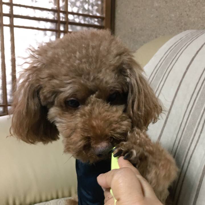 D464ae84 d335 4077 9756 f196c1e95e86