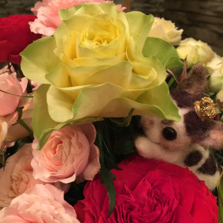 D464d814 bfd1 4344 975b 8a083d8acec1