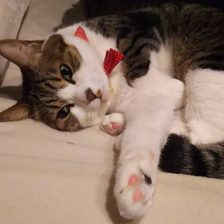 D4653f70 6a08 48ca 94df edf2b94ec5ec