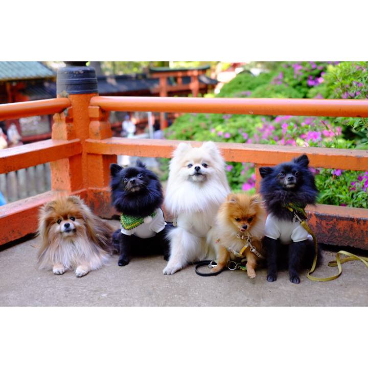 D4664f3d 8d58 435b 8154 577ecc042421