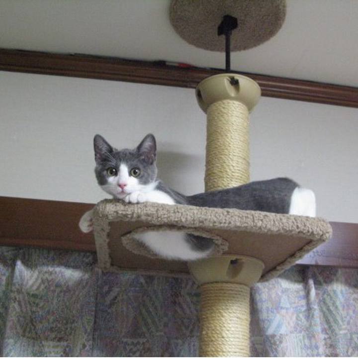 D466d7e4 138b 434f a25b 5bac4923f7e2