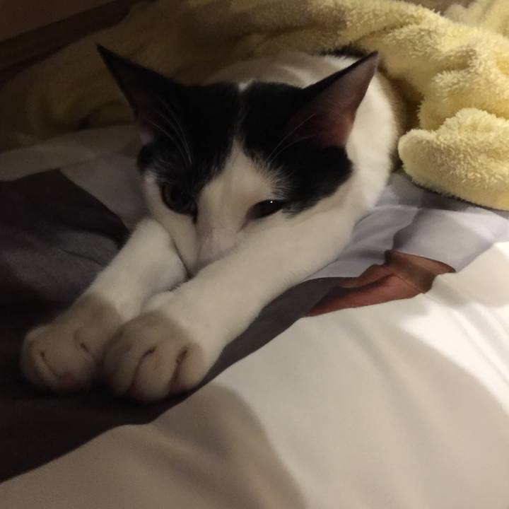 D4672e77 4e8f 4b39 9668 5181b8840460