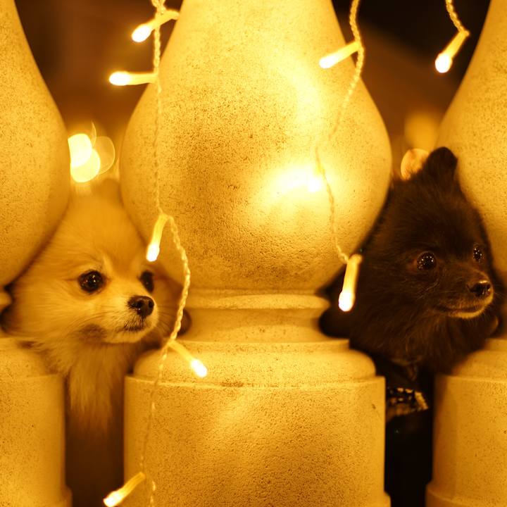 D4679b85 d629 478f 8626 7cea2608a133