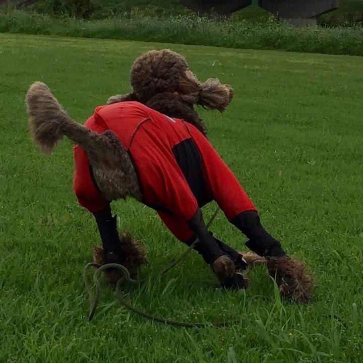 D4680213 9376 427e 962e 470abe30c8d2