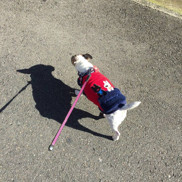 D468375e a095 4af3 a968 2e33395e2af4