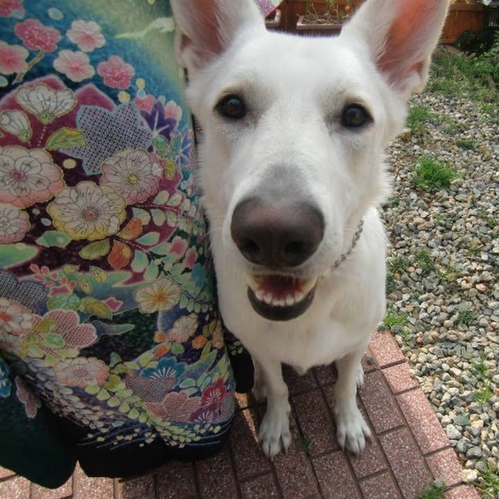 D468738a d211 4e55 9dfc 6e862f94dec8