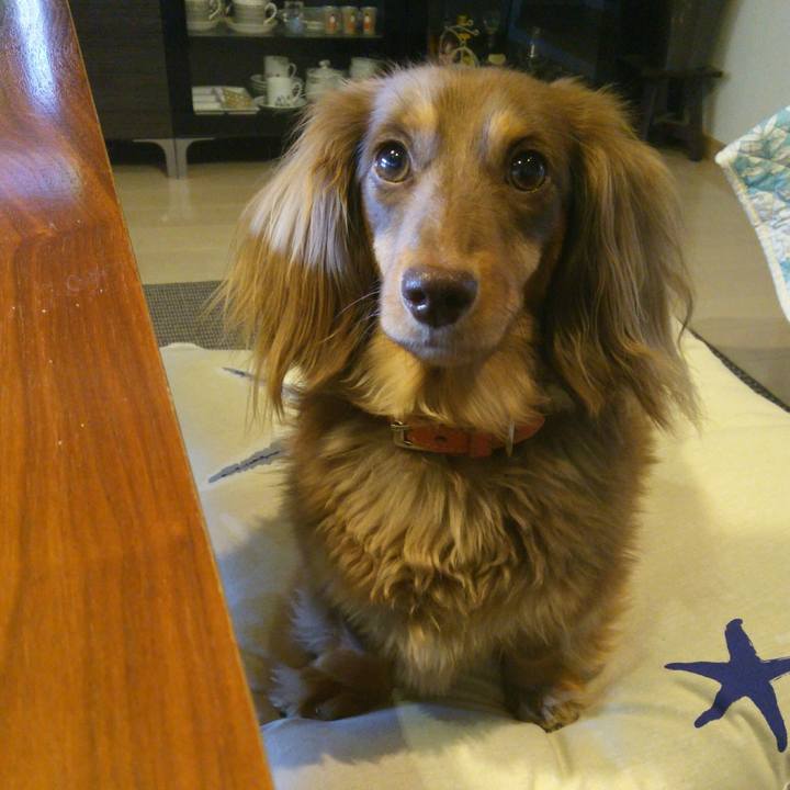 D469bf22 efa8 4aab bec0 9065876a7fd9