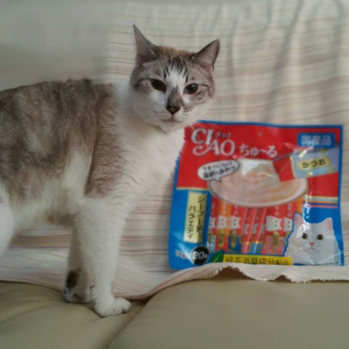 D46a2302 06fa 412b ba8b 9c3f4b13becd