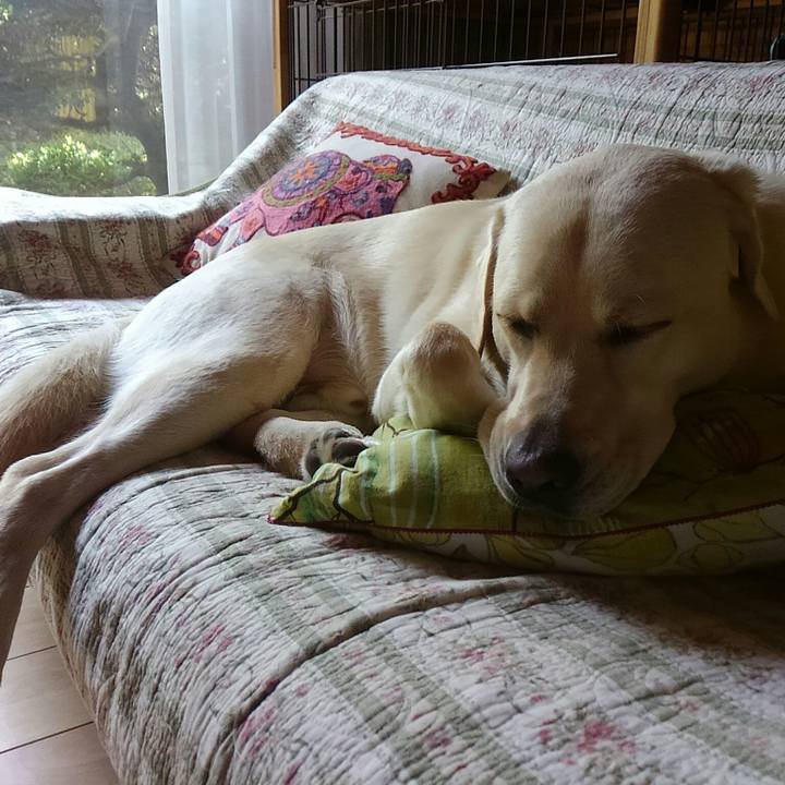 D46b6cf5 40c4 4ec0 82e5 277895d3d1a3