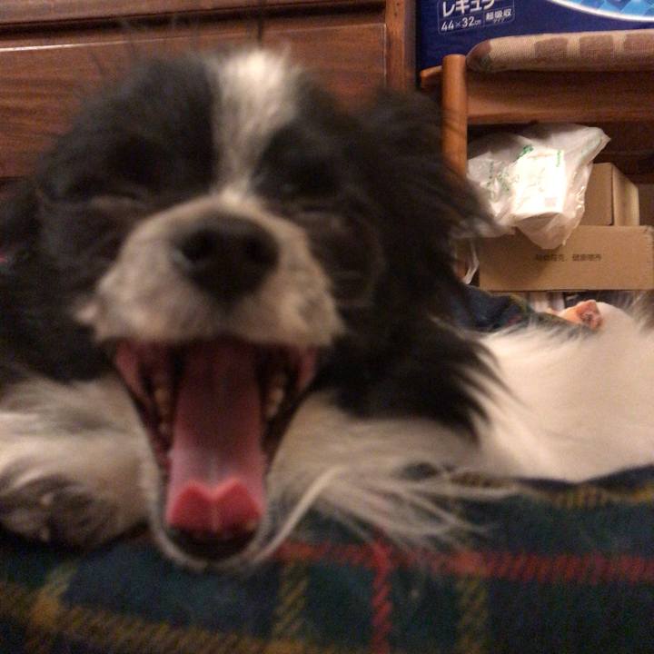 D46ba893 e4ab 4472 8e2a 6f36f13ecae9