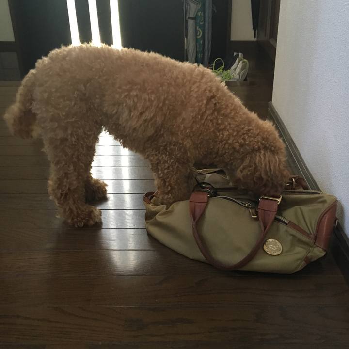 D46bc07b 3ada 4d5d 9a95 8328490dbb1c