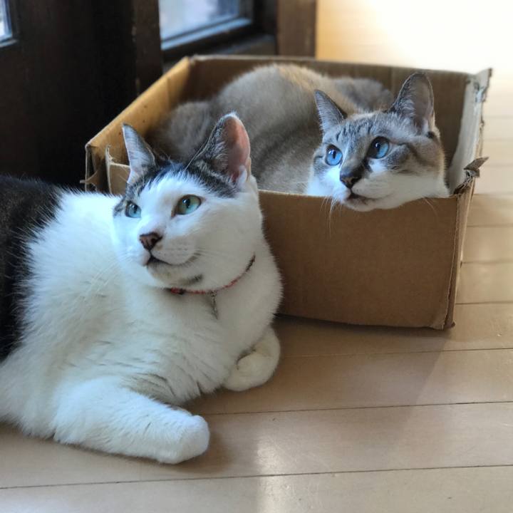 D46c14a7 e110 4ffa 9651 039dc169c4f4