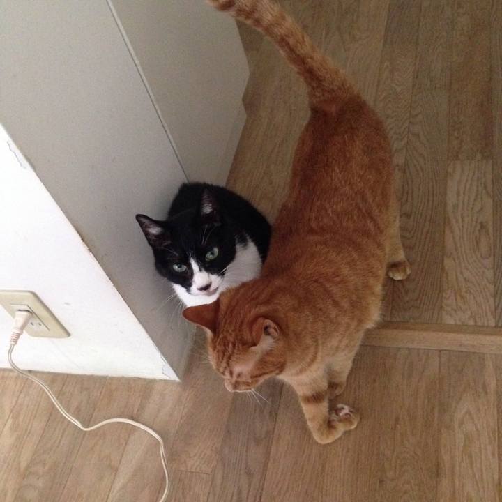 D46c3b22 05c2 4ea8 aa02 343a85ea9bbe