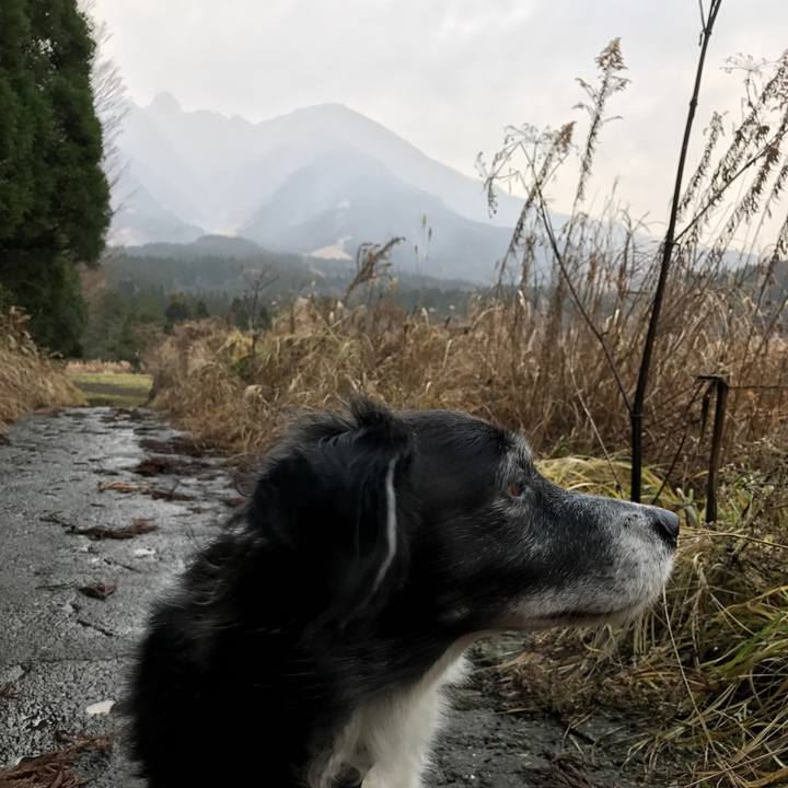 D46c5956 cfbe 409c b306 2f4ffc1770ca