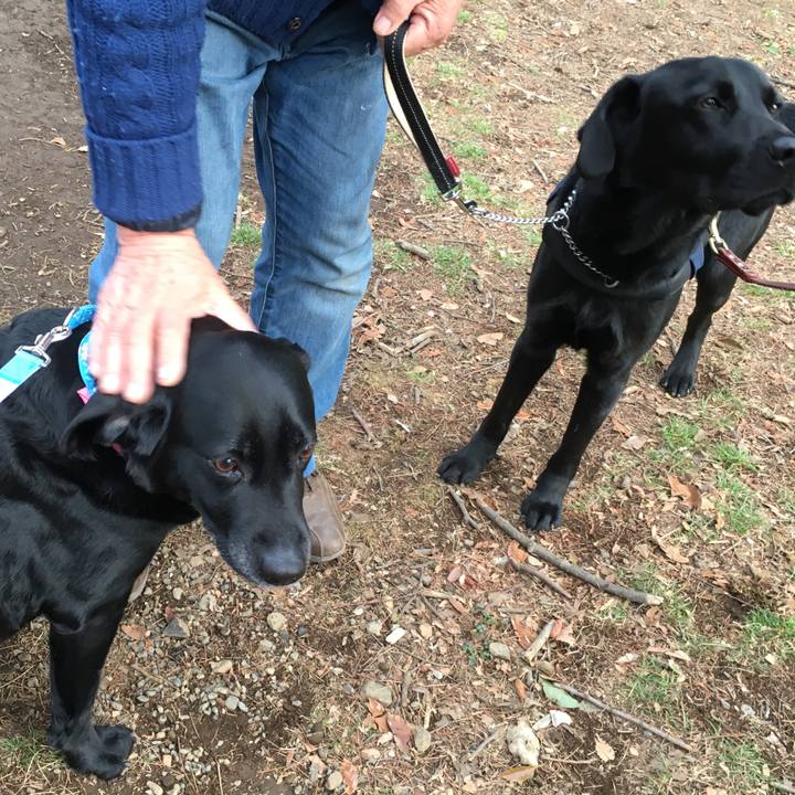 D46c5d44 d1cb 461f 938f e38b3d78da22