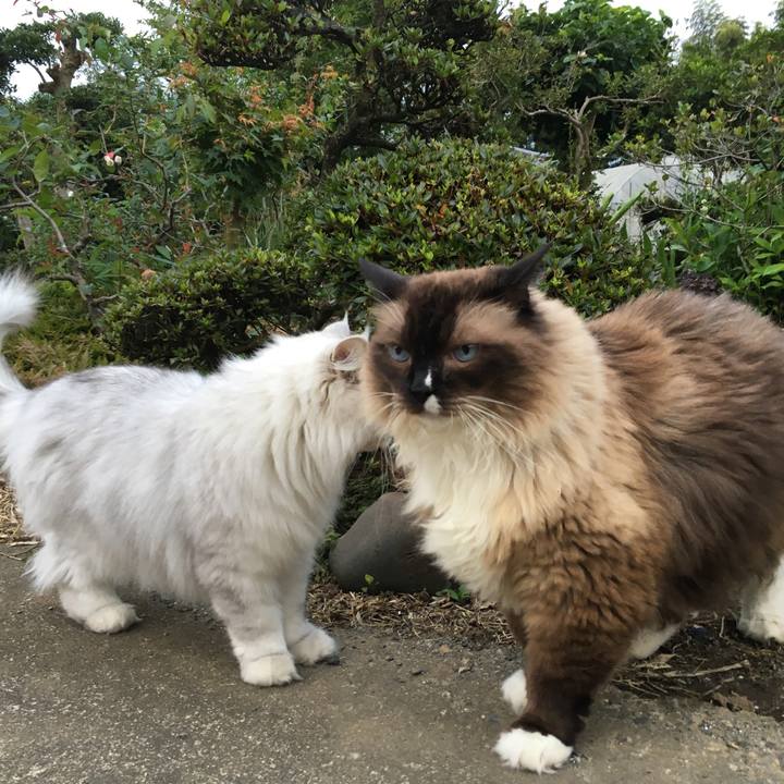 D46d6bc8 cd82 4a52 9435 65243e07babd