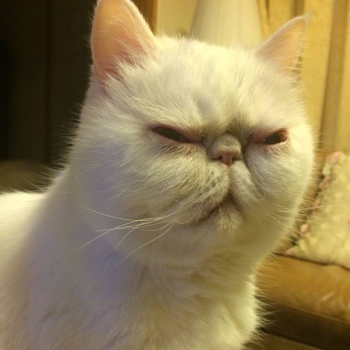 D46d7926 d06a 4497 8196 2c7dce7176a9