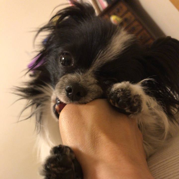 D46da4ac 920a 4d2b b5c0 a958f4877a16