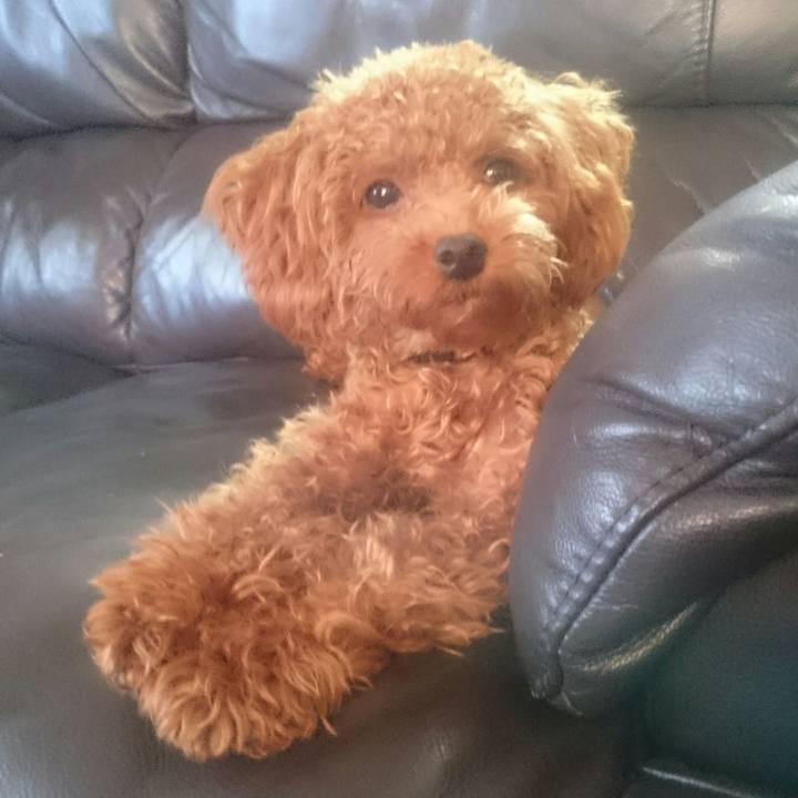 D46e4630 bcbc 4e63 82bc 0a188ee54c4a