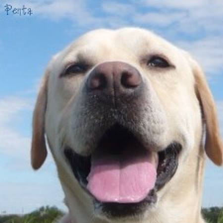 D46ed3a9 c811 4132 a026 50cc22020201