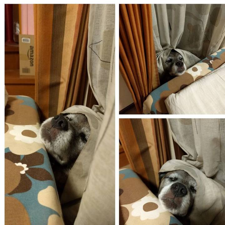 D46fbecd 2e00 41b1 9823 24b0346f6da3